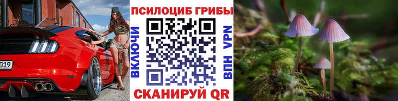 mega зеркало  Минусинск  Псилоцибиновые грибы MAGIC MUSHROOMS 